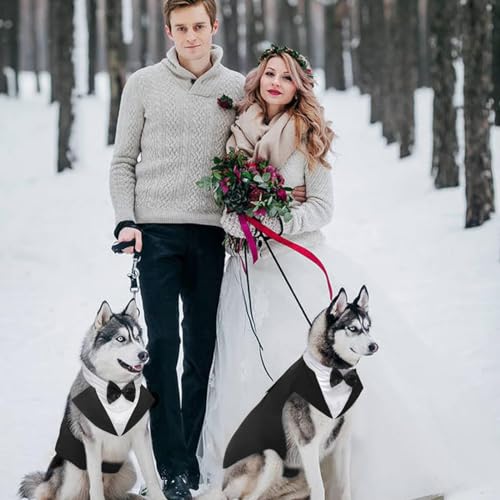 Tuxedo and Bandana Costume for Dogs
