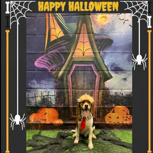 Donald Dog Costume Wig with Collar and Tie