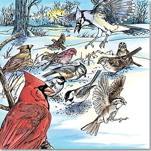 A Walk in the Woods Adult Coloring Book