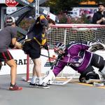 Premier Sports – 54“ Junior Steel Street Hockey Goal – Portable Hockey Net for Indoor & Outdoor Use – Hockey Training Equipment