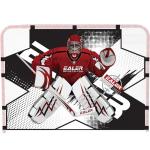 Ealer HTST20 Goalie Shooting Target for Practice