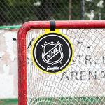 Franklin Sports NHL Shooting Targets with Goal Attachments