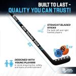 Premier Sports - Kids Hockey Set – (4) Sticks, (2) Mini Goals, (1) Foam & (1) Standard Balls – Complete Beginner Set for Ages 3-9