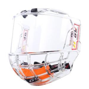 GY Hockey Clear Full Shield Helmet Visor