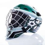 Franklin Sports NHL Dallas Stars Goalie Mask