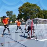 Franklin Sports FiberTech Street Hockey Goal Set
