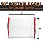 Franklin Sports FiberTech Street Hockey Goal Set