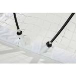 Franklin Sports FiberTech Street Hockey Goal Set