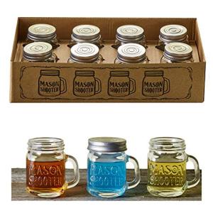 Hayley Cherie Mason Jar Shot Glasses (Set of 8)