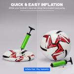 Lizzy Size 5 Soccer Ball with Pump