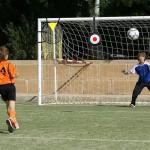 Ninoclar 3PCS Soccer Training Targets and Net Set