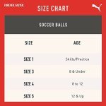 PUMA Orbita Serie A Soccer Ball - Size 5