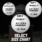 Select Numero 10 Size 5 Turf Soccer Ball