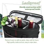 Kato Insulated Wine Tote Bag with Corkscrew