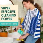 Aunt Fannie's All-Purpose Eco Cleaning Set