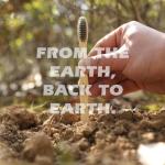 12 Biodegradable Bamboo Charcoal Toothbrushes