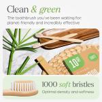 VIVAGO Bamboo Toothbrushes - 10 Pack, Eco-Friendly