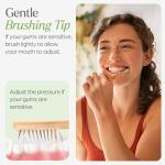 VIVAGO Bamboo Toothbrushes - 10 Pack, Eco-Friendly