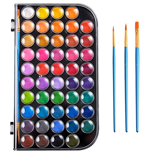 48 Color Watercolor Paint Set with Brushes & Palette