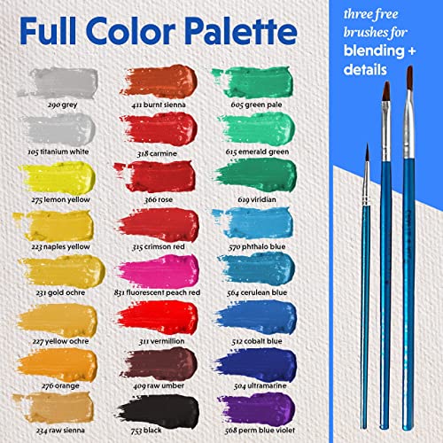 24 Premium Acrylic Paint Set with 3 Brushes