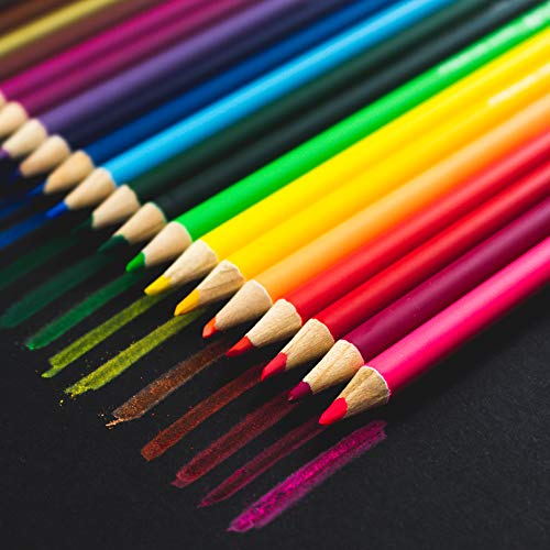 142 Piece Portable Art Set with Carrying Case