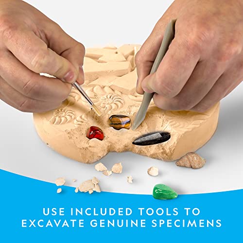 Gem Fossil Dig Kit for Kids - STEM Adventure