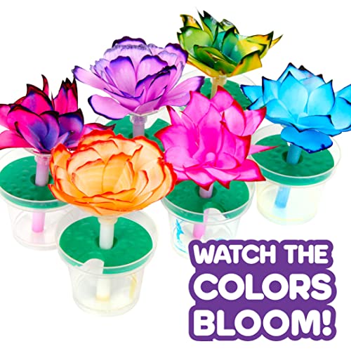 Crayola Color Changing Flower Science Kit for Kids