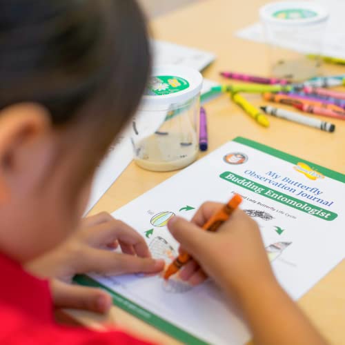 Giant Butterfly Garden Play Set