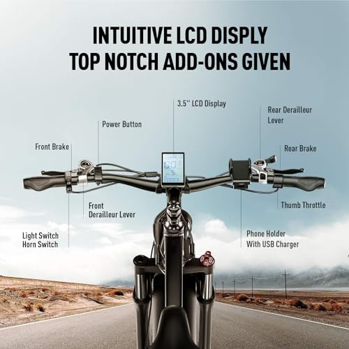 EXRBYKO 750W Fat Tire Electric Bike for Adults