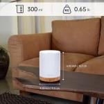 Essential Oil Diffuser with LED Light and Humidifier