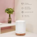 Essential Oil Diffuser with LED Light and Humidifier