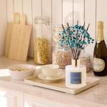 Cocorrína Luxury Reed Diffuser with Vanilla Essence