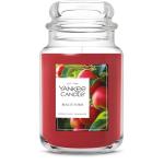 Yankee Candle Macintosh Large Jar, 150 Hour Burn