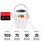 2 Pack Rechargeable Solar Camping Lanterns