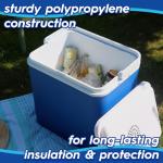 24L 12V Electric Cool Box – Portable Camping Cooler