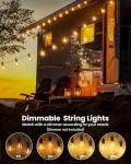 25ft G40 Globe LED Outdoor String Lights
