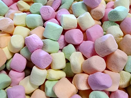 Colorful Fruit Flavored Mini Marshmallows - 10 Ounces