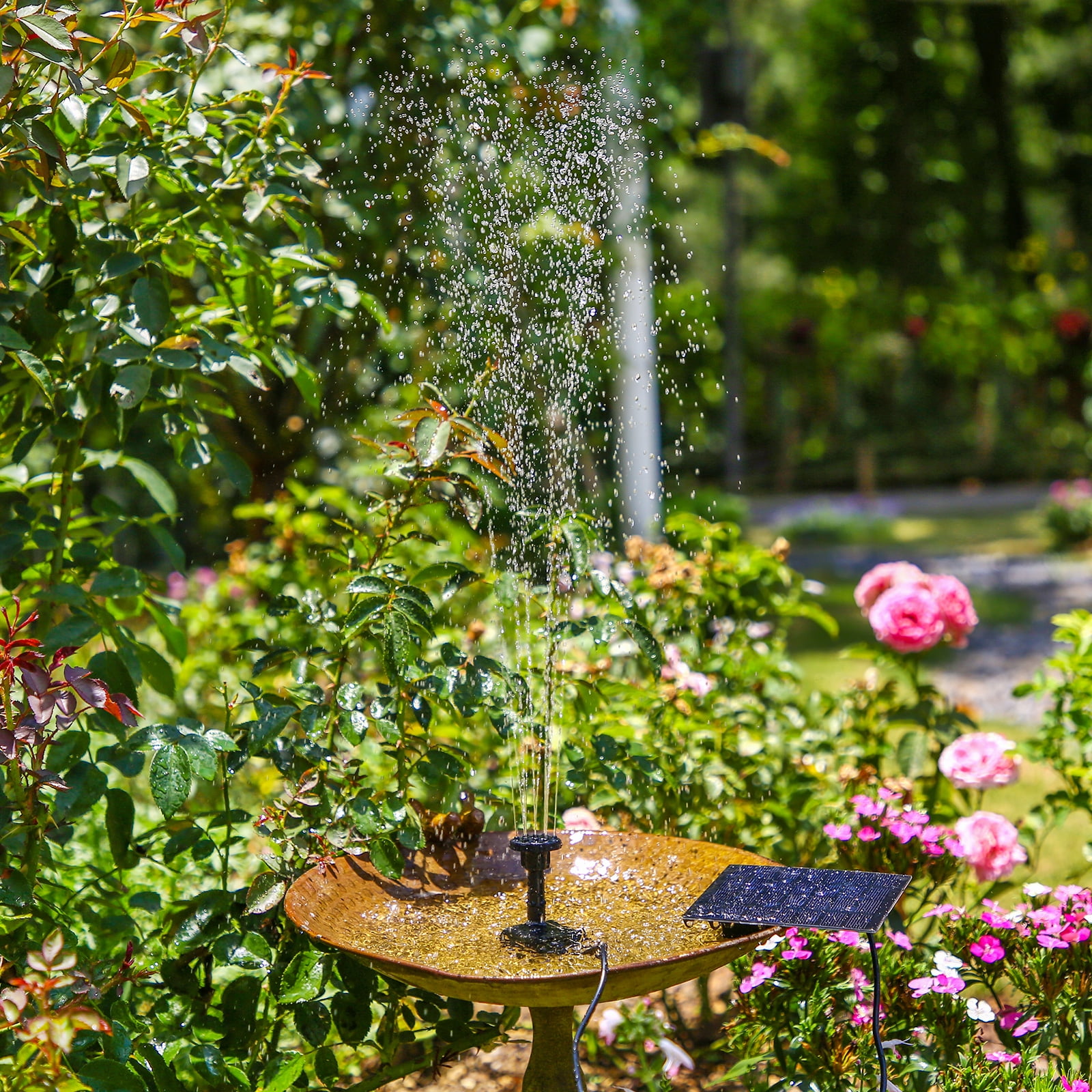 Solar Powered Fountain Pump for Bird Baths and Gardens