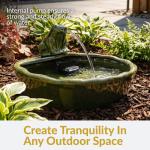 Frog Ceramic Solar Water Fountain - 7 Inches