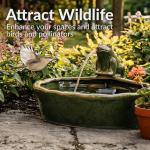 Frog Ceramic Solar Water Fountain - 7 Inches