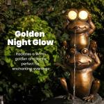 Solar Frog Water Fountain with Electric Pump