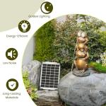 Solar Frog Water Fountain with Electric Pump