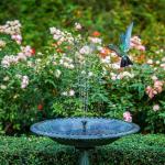 Solar Floating Fountain with 6 Nozzles for Birds