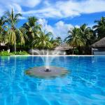 Solar Mini Water Fountain for Garden and Patio