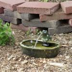 Solar Frog Ceramic Water Fountain