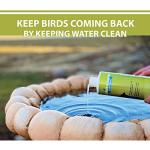 Sanco Bird Bath & Fountain Maintenance Enzyme Formula