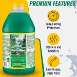 EasyCare Scale & Stain Remover for Fountains