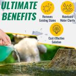 EasyCare Scale & Stain Remover for Fountains