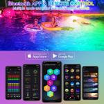 LED Pond Lights with Timer and Remote Control
