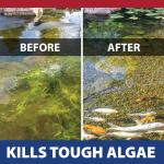 InstaFix Moss Control for Fountains and Ponds